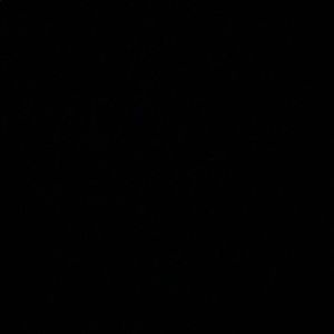 Meet your Posher, Barbie